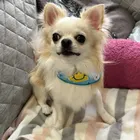ユーザー画像