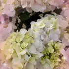 YUYUKA<サークルメンバー>