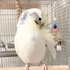 ユーザー画像