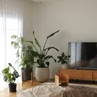 ユーザー画像