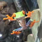 ユーザー画像