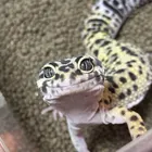 ユーザー画像
