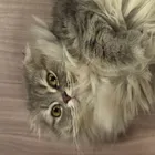 ユーザー画像