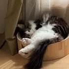 ユーザー画像