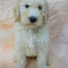ユーザー画像