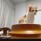 ユーザー画像