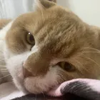 ユーザー画像