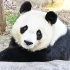 ユーザー画像