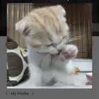 ユーザー画像