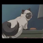 ユーザー画像