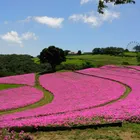 ユーザー画像
