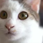 ユーザー画像