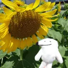 ユーザー画像