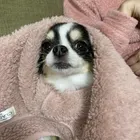 ユーザー画像