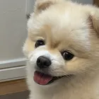 ユーザー画像