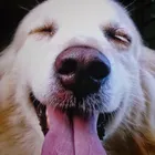 ユーザー画像
