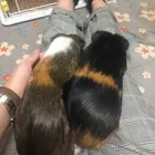 ユーザー画像