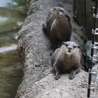 ユーザー画像
