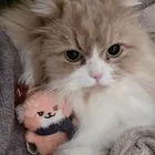 ユーザー画像