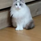 ユーザー画像