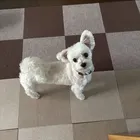 ユーザー画像