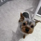 ユーザー画像