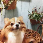 ユーザー画像