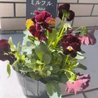 ユーザー画像