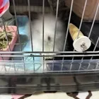 ユーザー画像