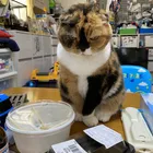 ユーザー画像