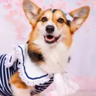 ユーザー画像