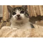 ユーザー画像