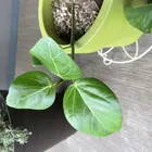 ユーザー画像