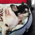 ユーザー画像