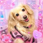 ユーザー画像