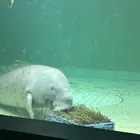 ユーザー画像