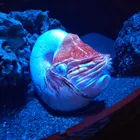 ユーザー画像