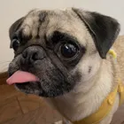 ユーザー画像