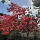 ユーザー画像