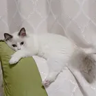 ユーザー画像