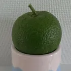 ユーザー画像