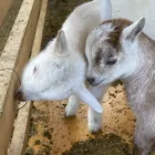 ユーザー画像