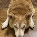 ユーザー画像