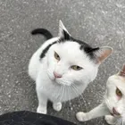 ユーザー画像