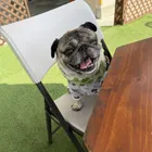 ユーザー画像