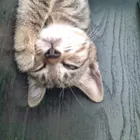 ユーザー画像