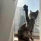 ユーザー画像