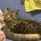 ユーザー画像