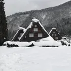 ユーザー画像