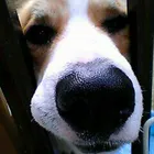 ユーザー画像